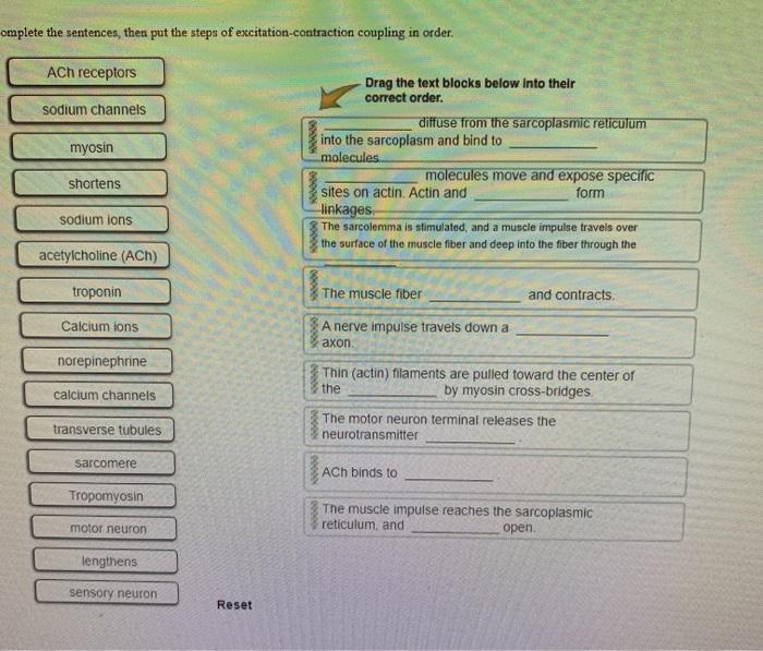 Solved omplete the sentences, then put the steps of