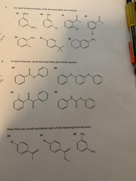 Solved 5. For each structure below, circle the most likely | Chegg.com