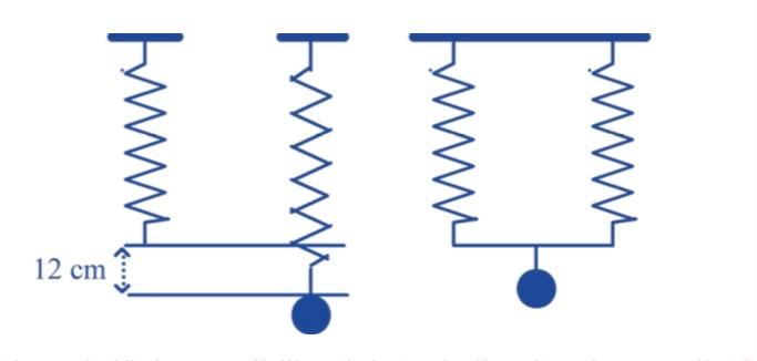 Solved A coil spring was extended 12 cm when a weight of | Chegg.com