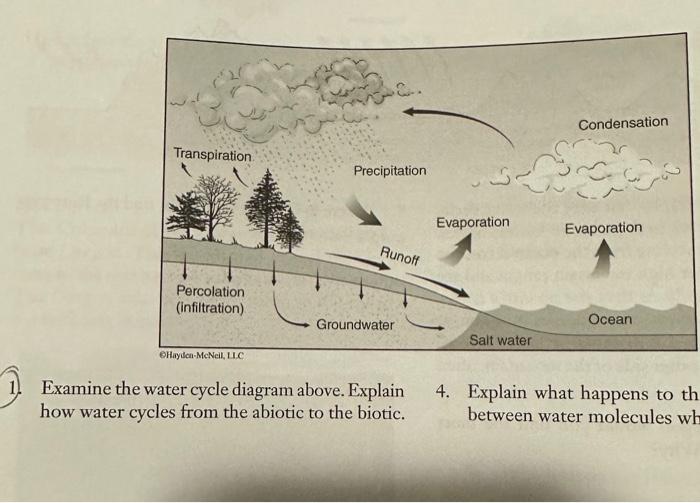 Solved 14. Examine the carbon cycle diagram above. 17. | Chegg.com