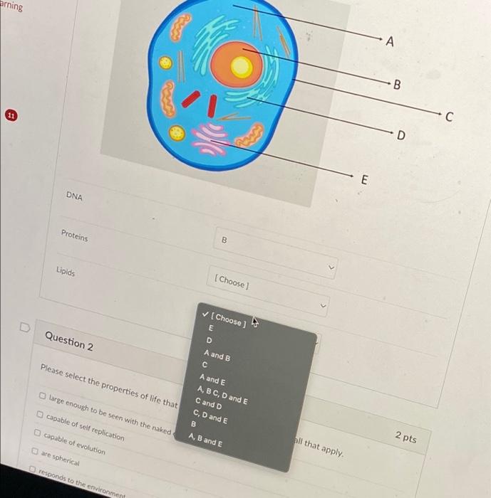 Solved Experiment 11 Worksheet Name Experiment 11 The Chegg Com