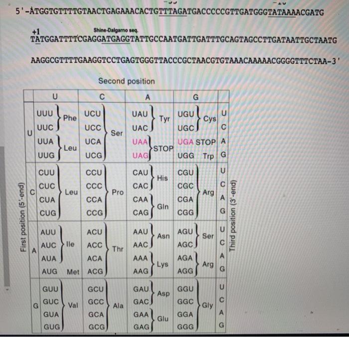 Solved - Question 10 (1 point) What is the amino acid | Chegg.com