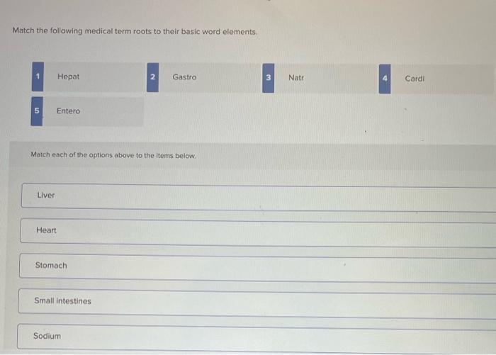 Solved Match the following medical term roots to their basic | Chegg.com