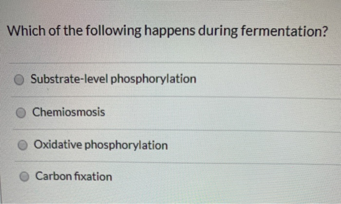 Solved Which of the following happens during fermentation? | Chegg.com