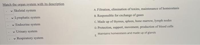 Solved Identify the levels of hierarchy in the following | Chegg.com