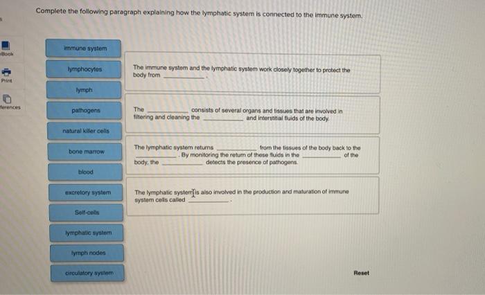 Complete the following paragraph explaining how the lymphatic system is connected to the immune system.
The immune system and