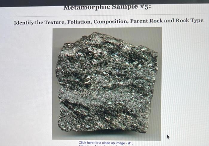 and Protolith Activity 7.4 Hand Sample Analysis, | Chegg.com