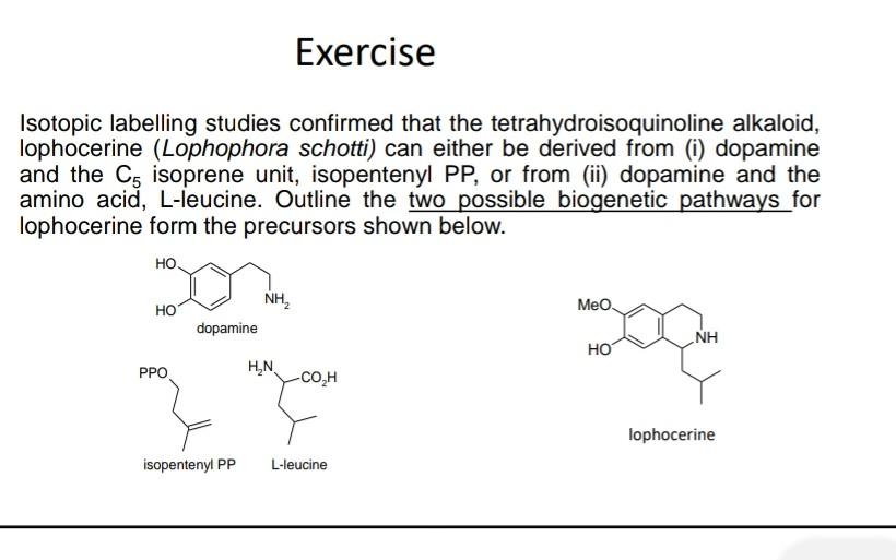 Isotopic Labelling Studies Example Solved Isotopic labelling studies confirmed that the | Chegg.com