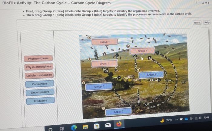 Solved 4 of 4 BioFlix Activity: The Carbon Cycle -- Carbon | Chegg.com