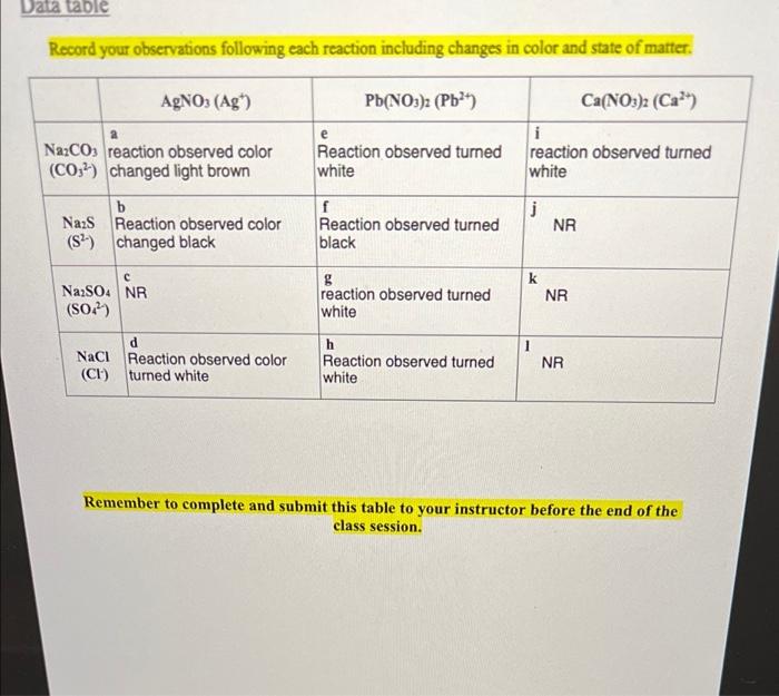Solved Data table Record your observations following each | Chegg.com