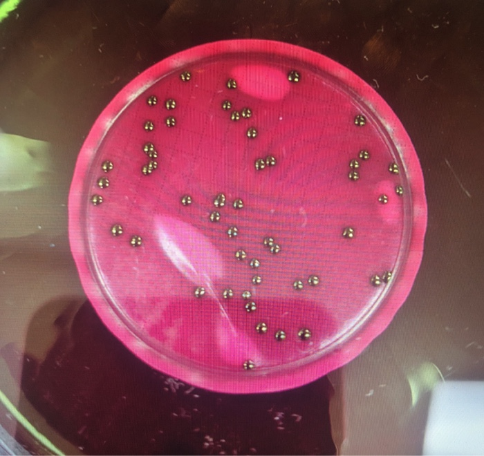 Solved Each of the pictures below represents a different