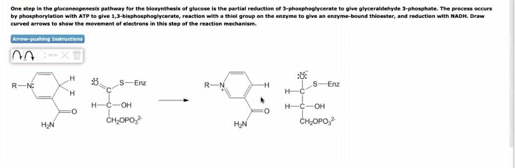 Solved H3C NH3 N :0: CH3 N H₂Nt NH NH CH3 NH2 CH3 One Step | Chegg.com