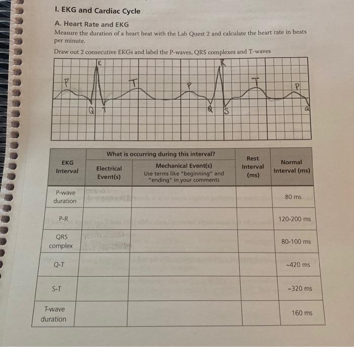 Solved I. EKG and Cardiac Cycle A. Heart Rate and EKG | Chegg.com
