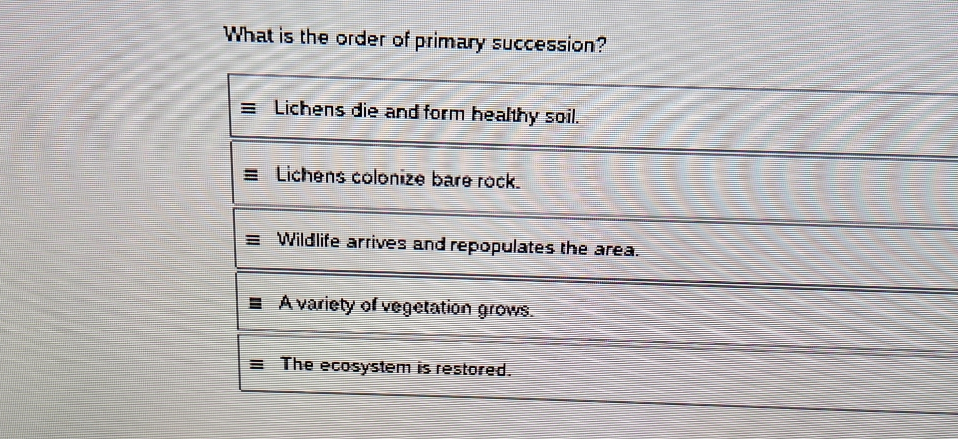 How Do Lichens Contribute To Primary Succession
