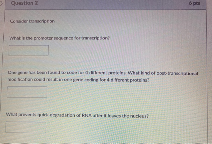 Solved Question 2 6 pts Consider transcription What is the | Chegg.com