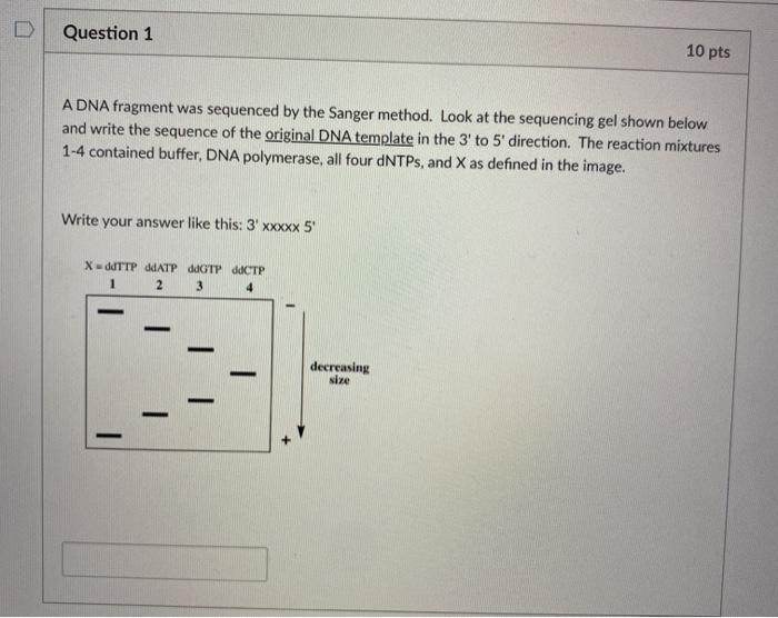 Solved Question 1 10 pts A DNA fragment was sequenced by the | Chegg.com