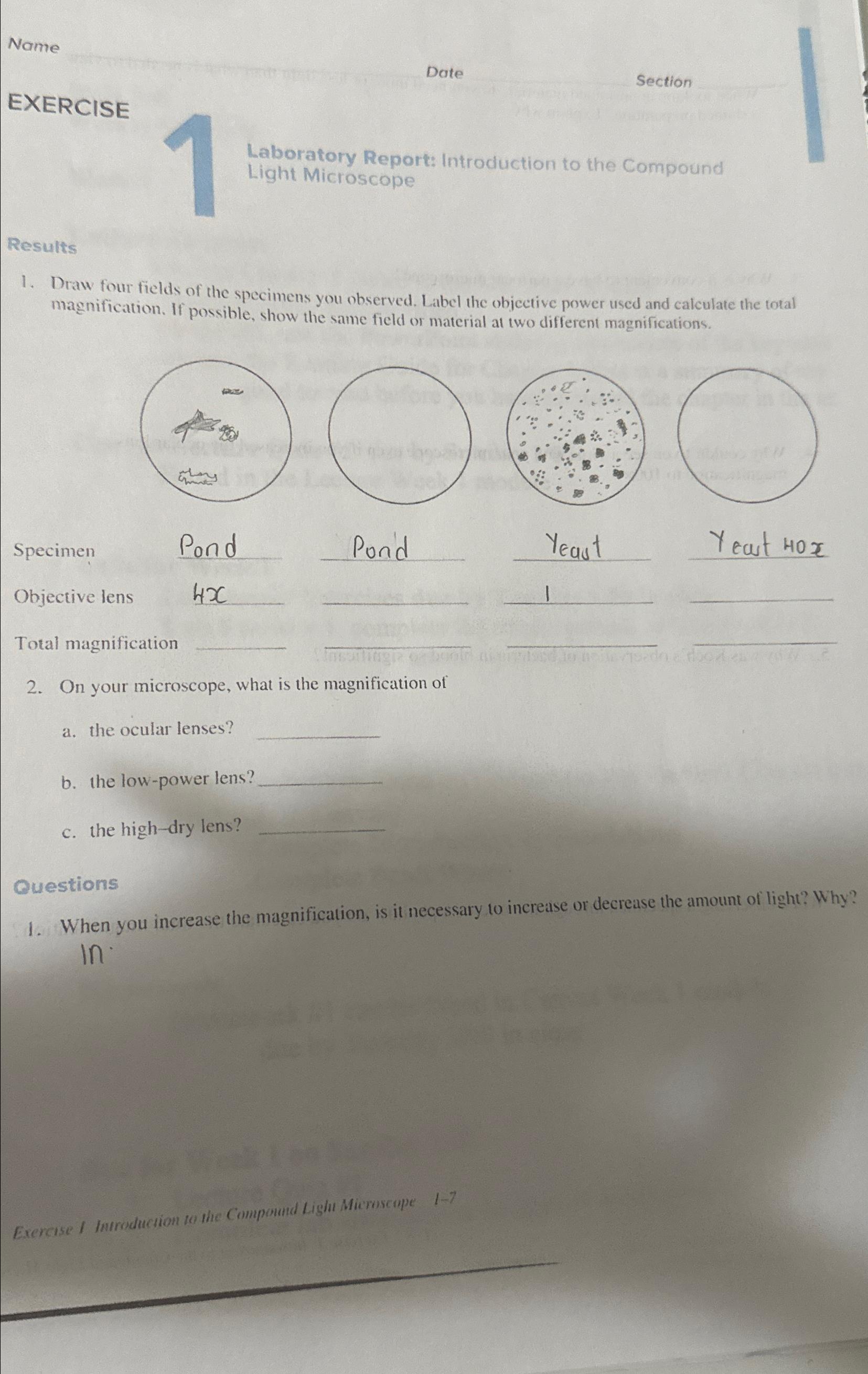 Solved NameEXERCISEDateSectionLaboratory Report