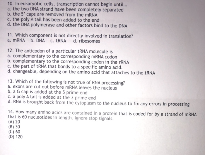 Solved 10. In eukaryotic cells, transcription cannot begin | Chegg.com