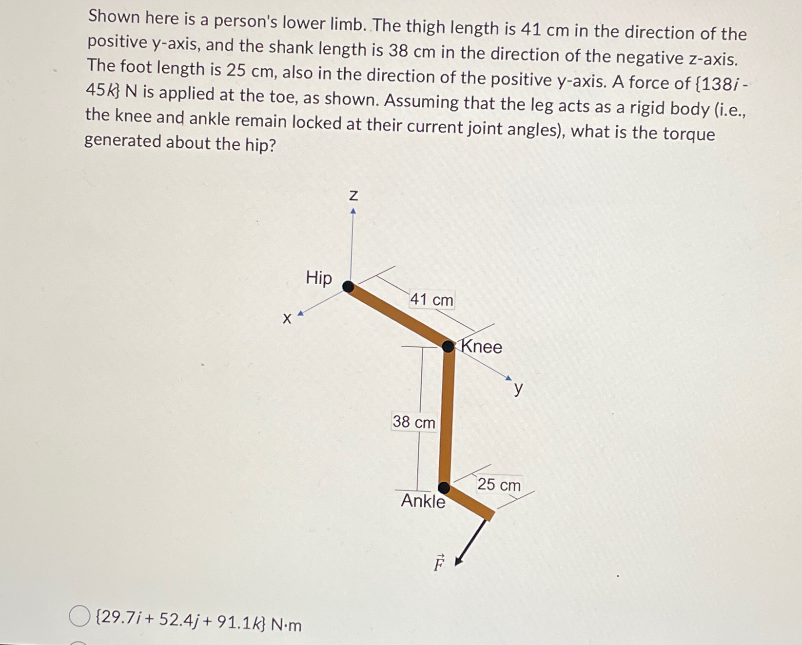 Solved Shown here is a person's lower limb. ﻿The thigh | Chegg.com