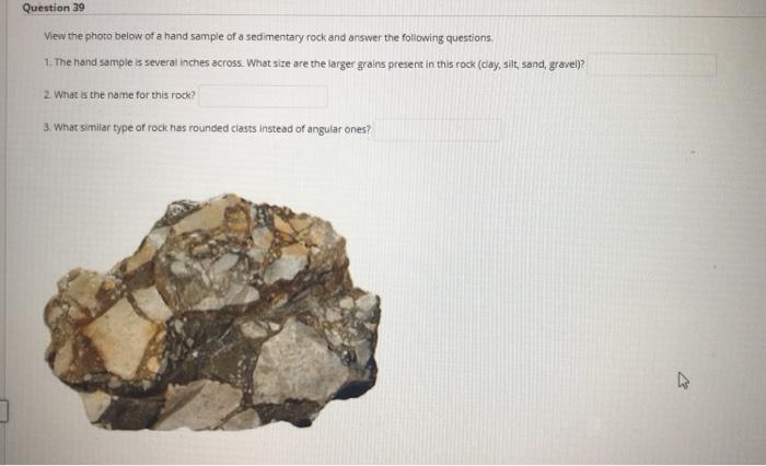 Solved Question 39 View the photo below of a hand sample of | Chegg.com
