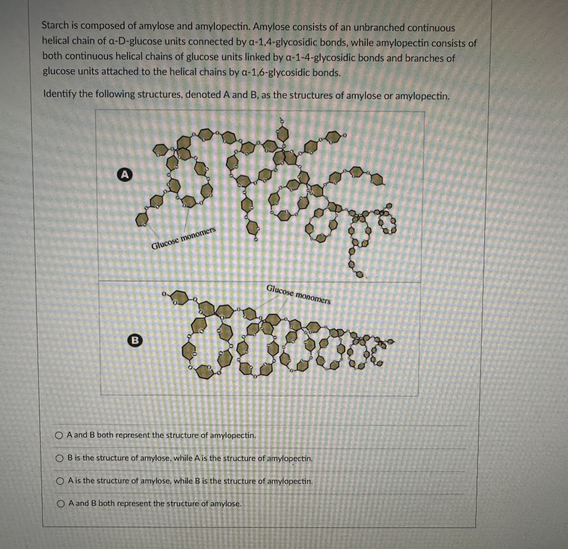 Amylopectin Molecular Structure – Royalty-Free Vector | VectorStock, image size:1920x1858