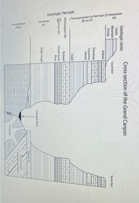 Solved Cross-section of the Grand Canyon The Geologic Time | Chegg.com