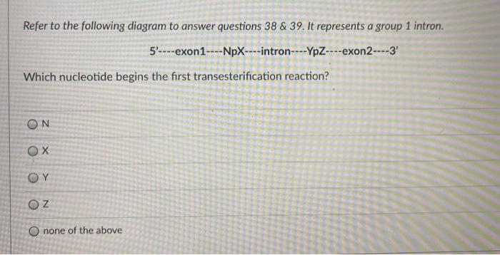 Solved Refer to the following diagram to answer questions 38 | Chegg.com