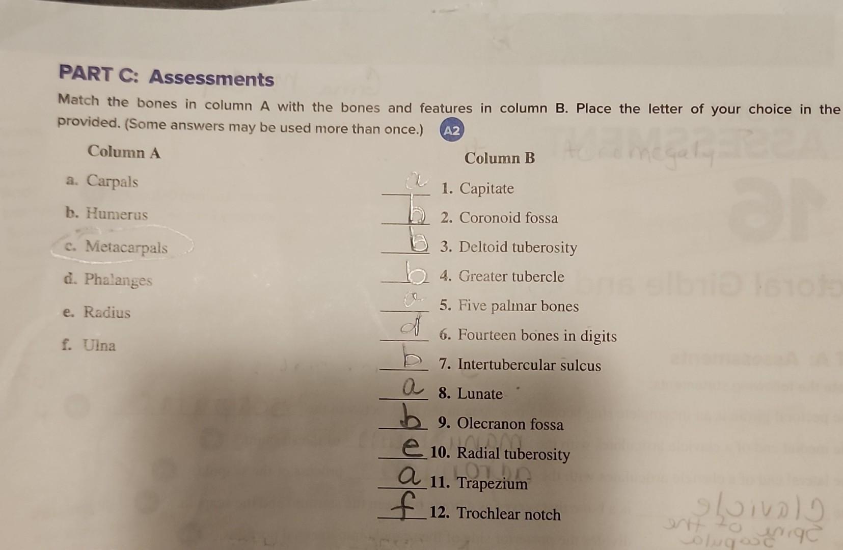 Solved PART C: Assessments Match The Bones In Column A With | Chegg.com