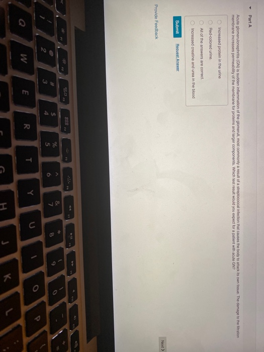 Part A Proteus mirabilis produces the enzyme uroase, | Chegg.com