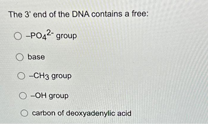Solved The 3′ end of the DNA contains a free: −PO42− group | Chegg.com