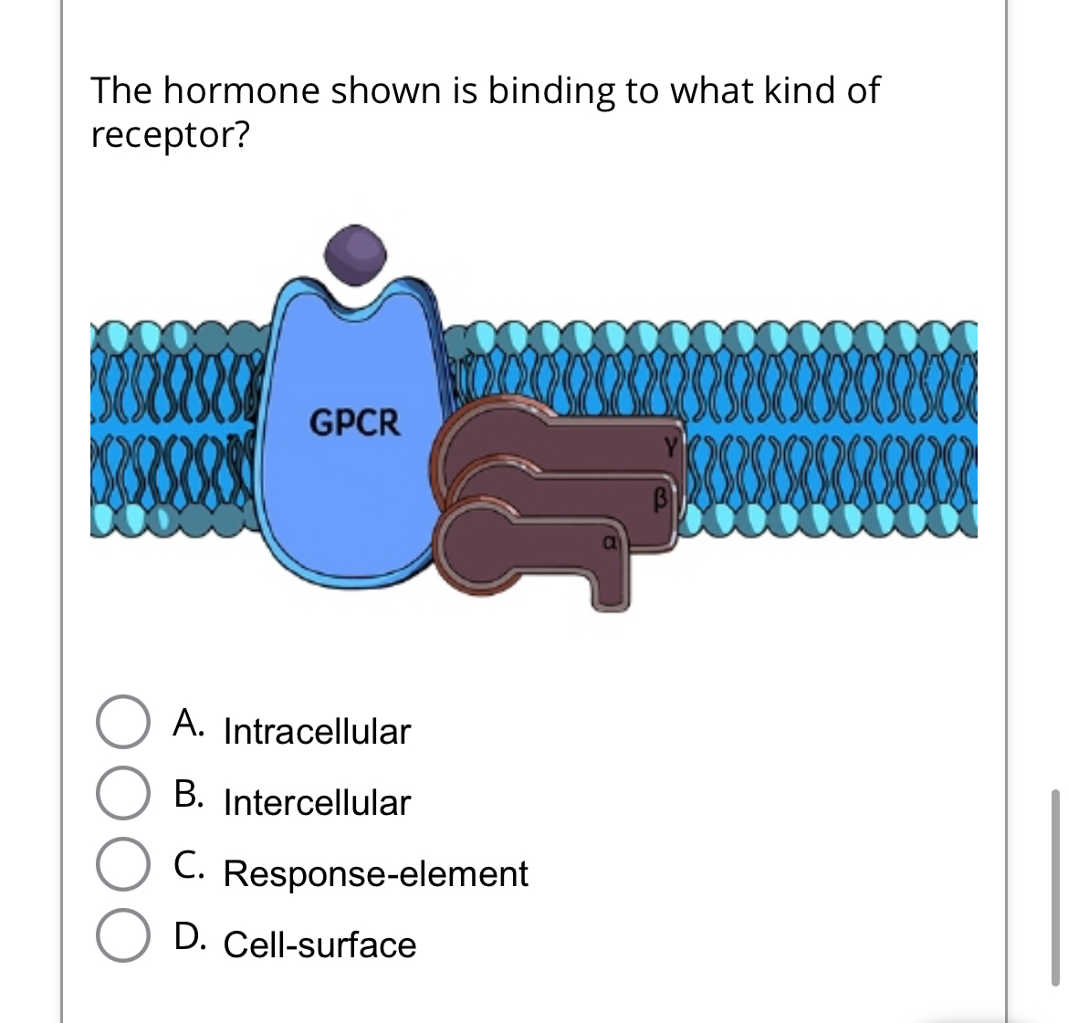Solved The hormone shown is binding to what kind of | Chegg.com