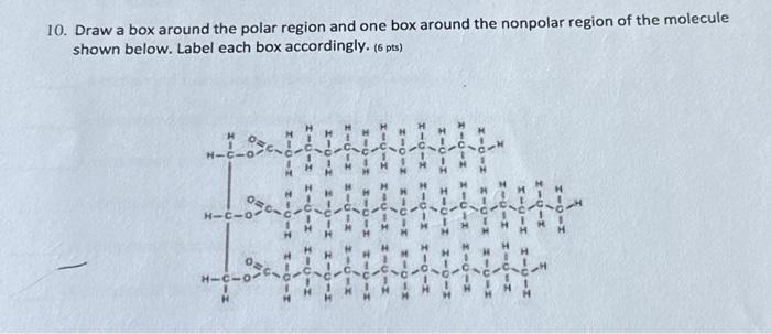 Solved 10. Draw a box around the polar region and one box | Chegg.com