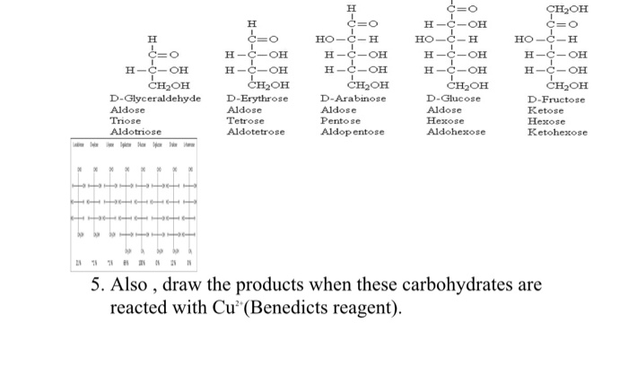 CH2OH CH2-OH What is the structure of L-glyceraldehyde? 31. (a) HO