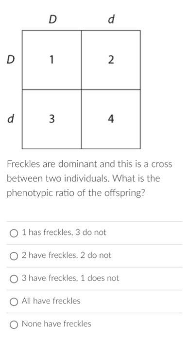Solved Freckles are dominant and this is a cross between two | Chegg.com