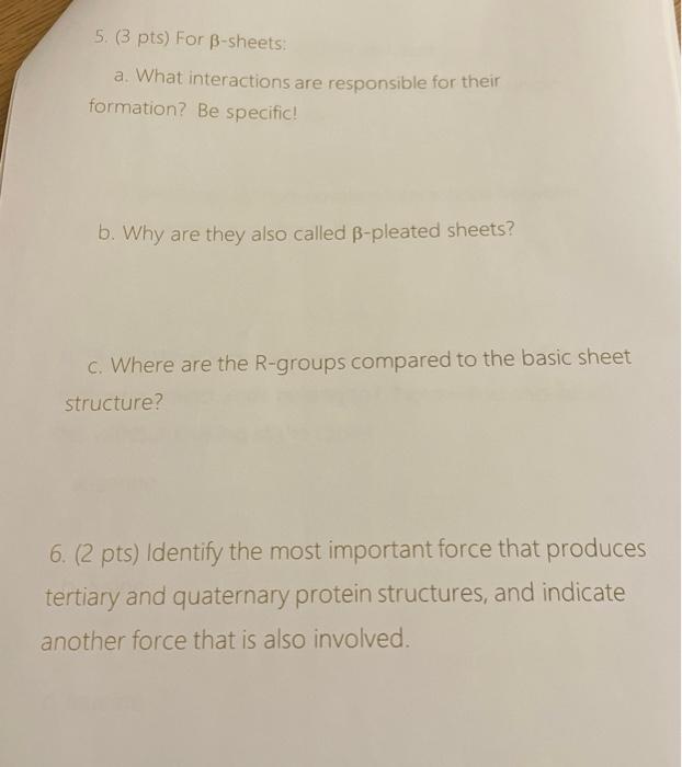 Solved b. Why are they also called βpleated sheets? c.