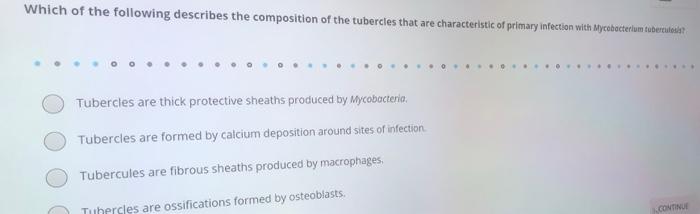 Solved Which of the following describes the composition of | Chegg.com