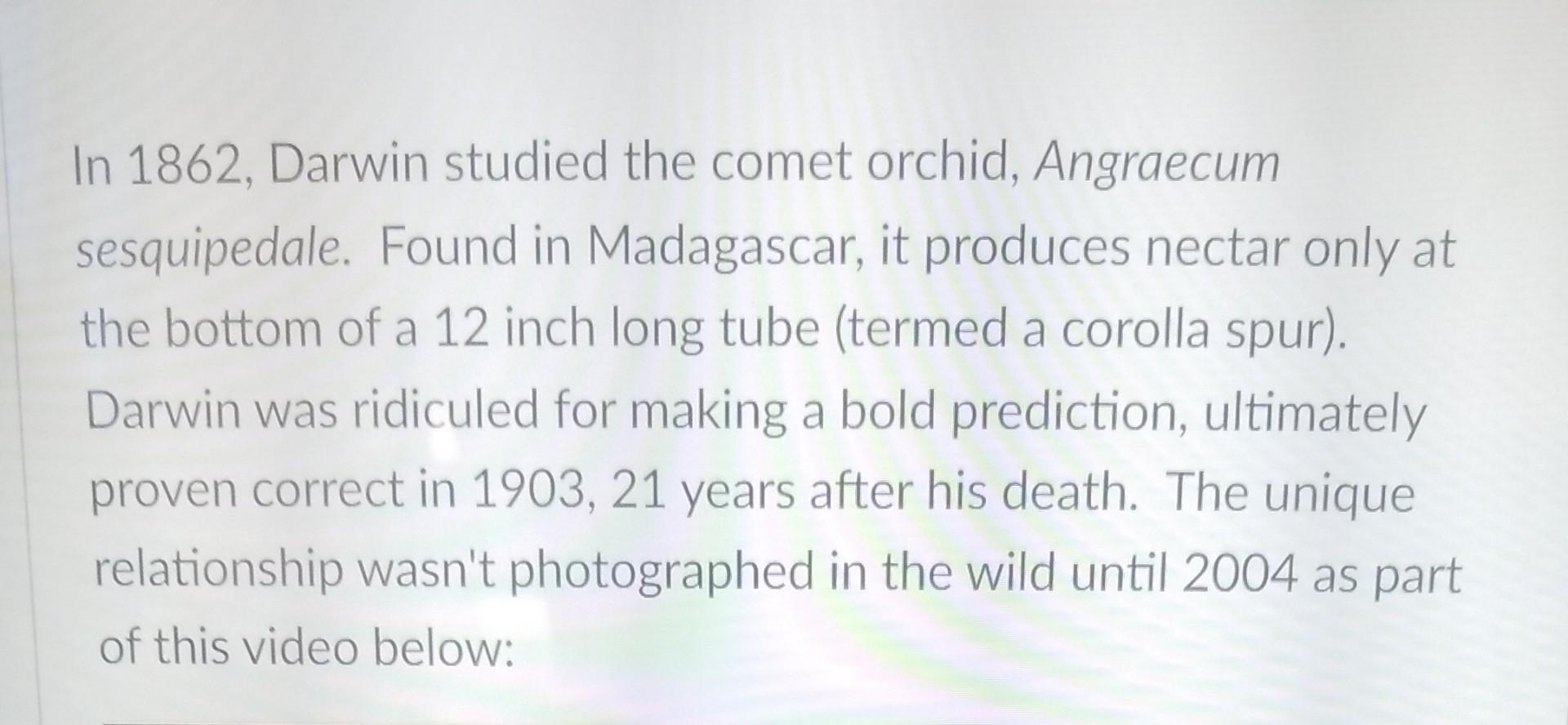 Solved A B Giant Pandas are well known for diets consisting | Chegg.com