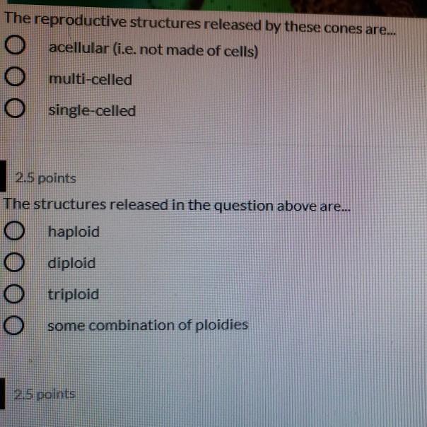 Solved The reproductive structures released by these cones