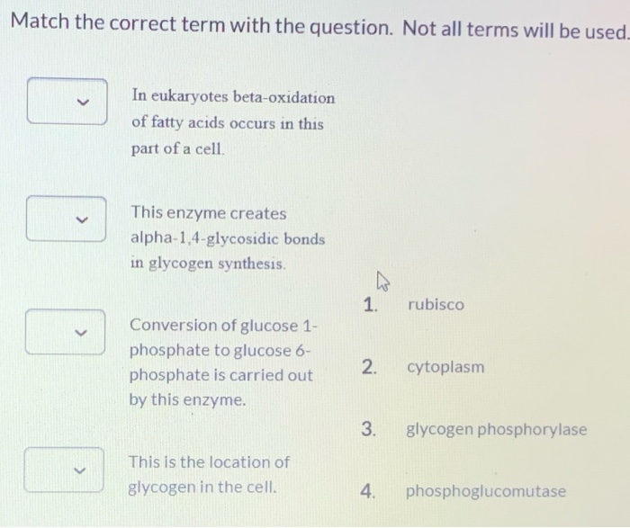 Solved Match the correct term with the question. Not all | Chegg.com