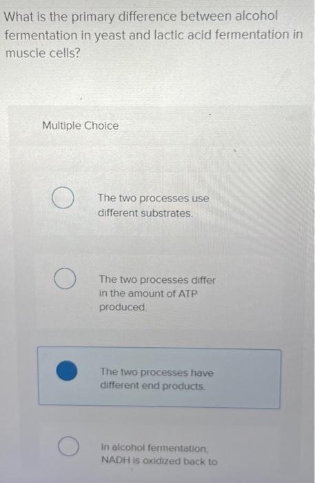 Solved What is the primary difference between alcohol | Chegg.com