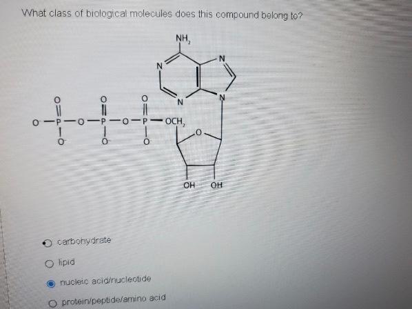 Solved What class of biological molecules does this compound | Chegg.com