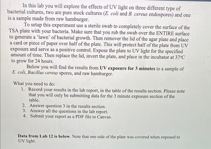 Solved EXERCISE 12 Laboratory Reports Effects of Ultraviolet | Chegg.com