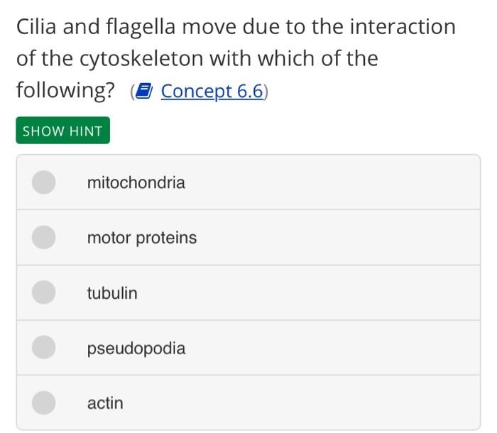 Solved: Cilia And Flagella Move Due To The Interaction Of | Chegg.com