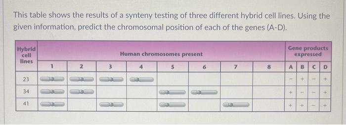 Solved This table shows the results of a synteny testing of | Chegg.com
