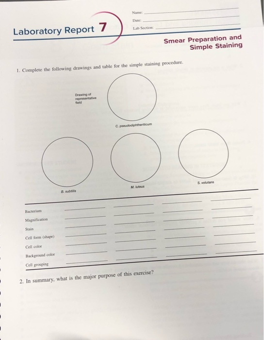 Laboratory Report 7 Lab Section Smear Preparation and