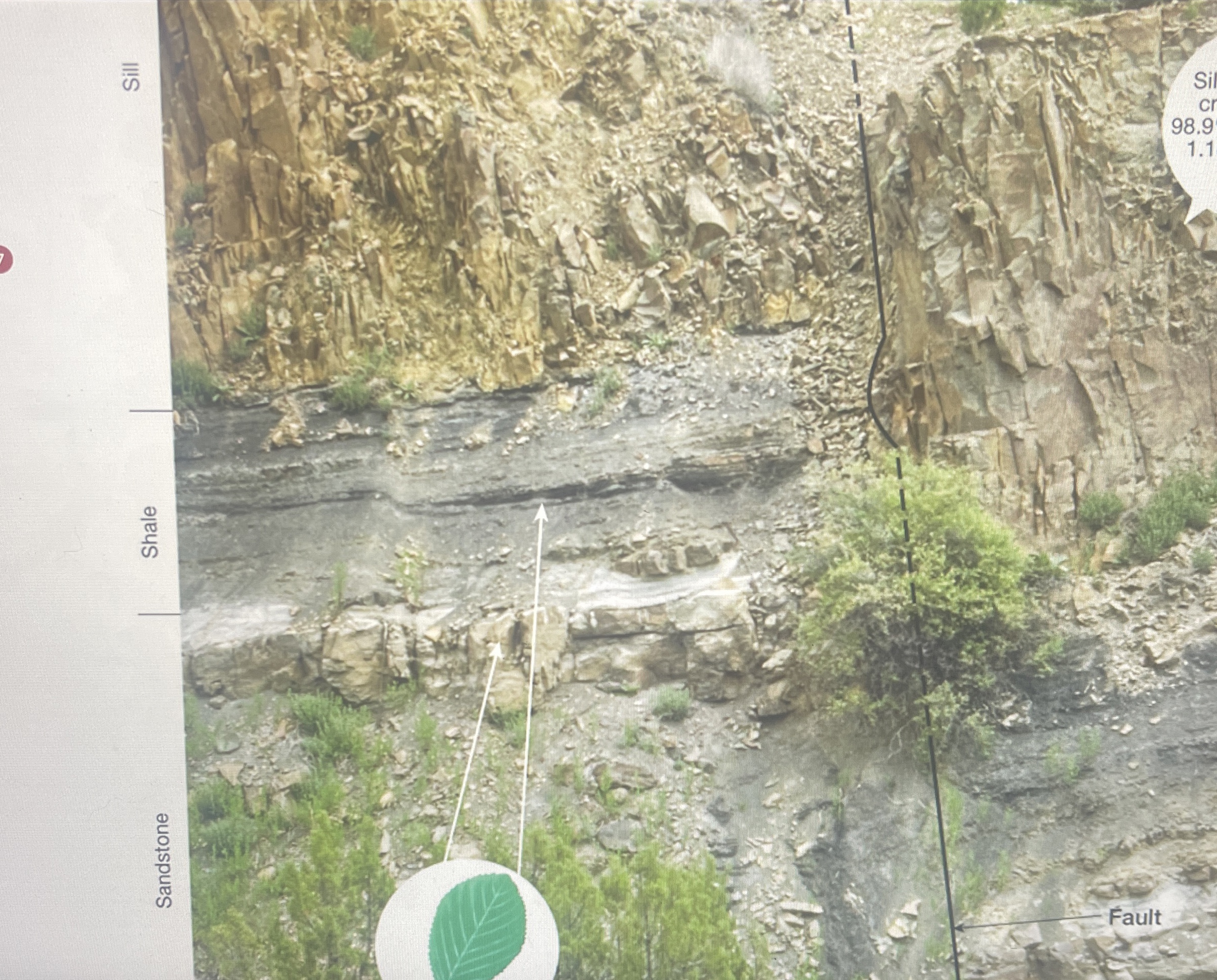 Solved what is the relative age of this sedimentary rock | Chegg.com