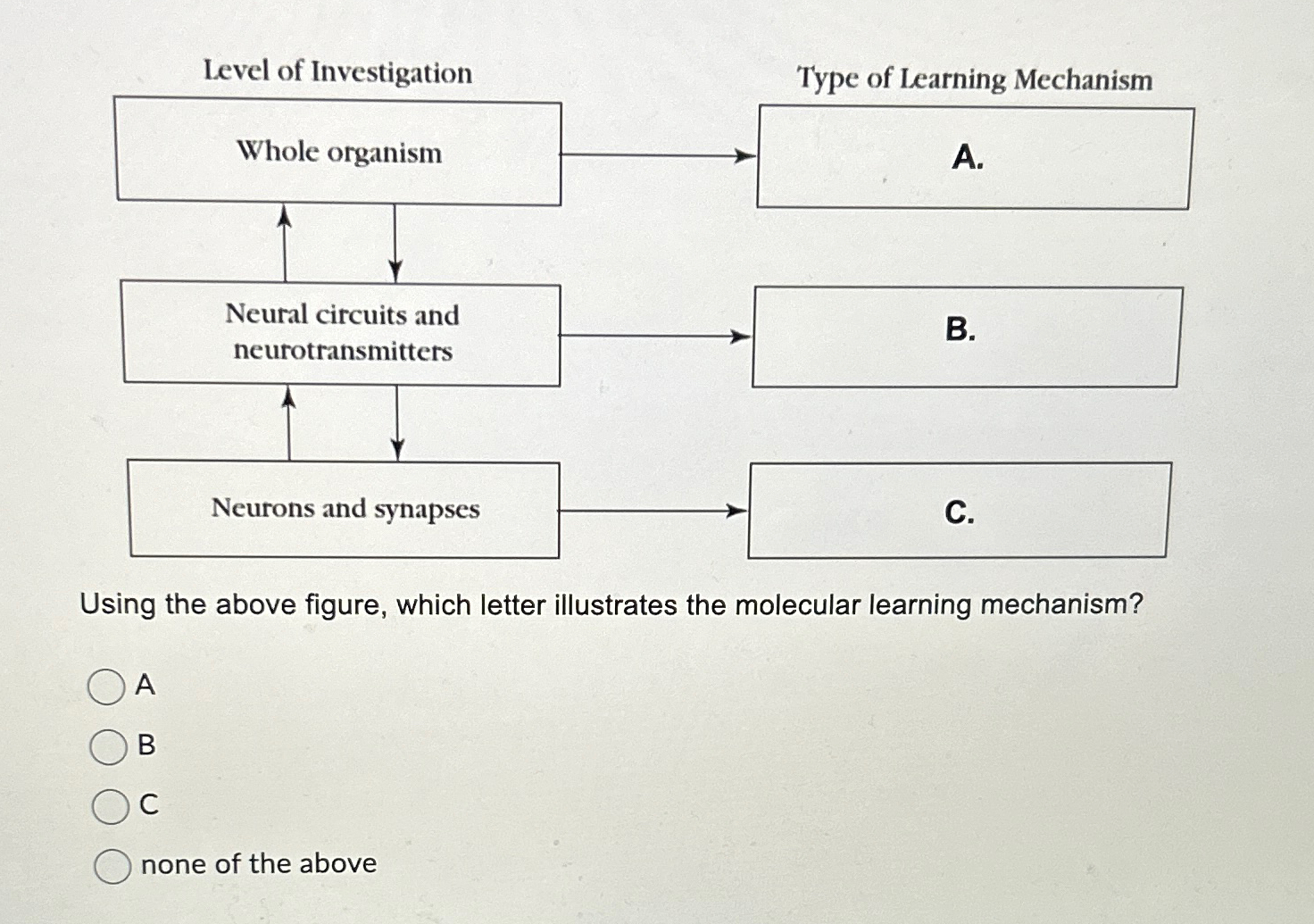 Solved Using the above figure, which letter illustrates the | Chegg.com