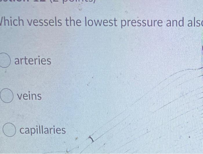 Solved Which of the following vessels transport fluids Chegg com