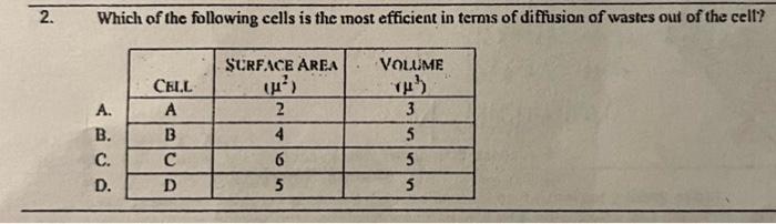 Solved Which of the following cells is the most efficient in | Chegg.com