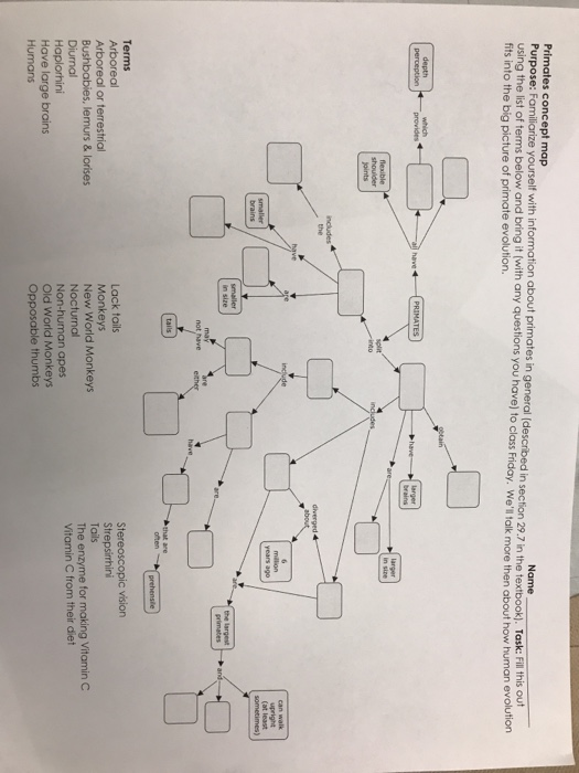 Solved 8 Primates Concept Map Name Purpose Familiarize Chegg Com